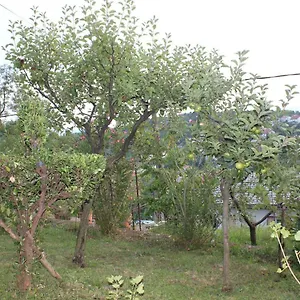  Appartamento Tutnovo 13